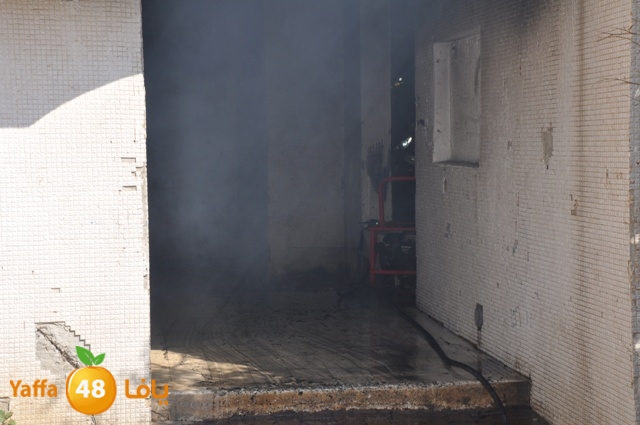 fireshekonatelarab (5).JPG